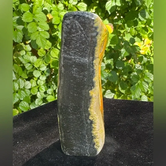 Bumblebee Jasper 7.4oz. (Indonesia) - Picture 4 of 4